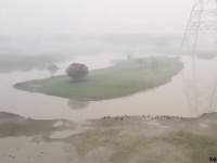 分厚いスモッグが空を覆う。インドの首都デリーの深刻な大気汚染