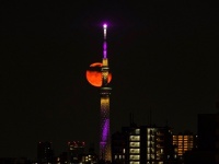 fabrik_view さんが7日夜、板橋区で撮影