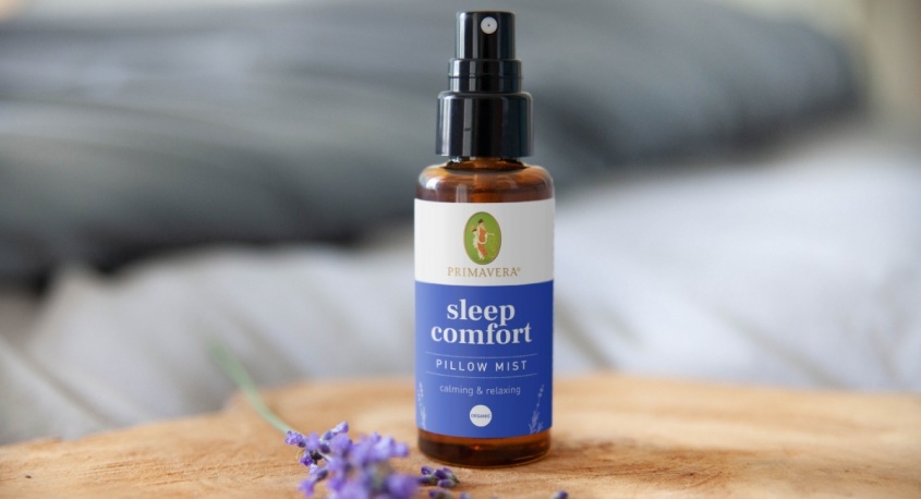 株式会社おもちゃ箱のプレスリリース画像