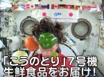 『こうのとり』７号でフレッシュな野菜や果物が国際宇宙ステーションへ！