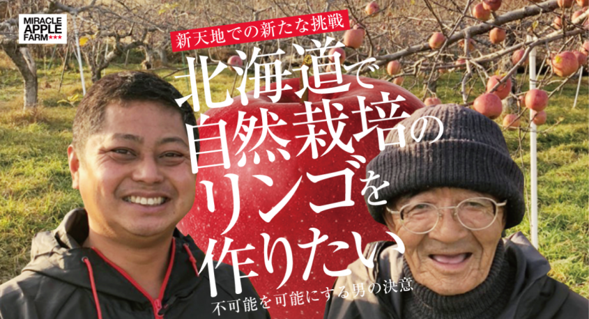 ピセ株式会社のプレスリリース画像