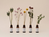 部屋が癒やしの空間に早変わり。花と香りで楽しむディフューザー発売