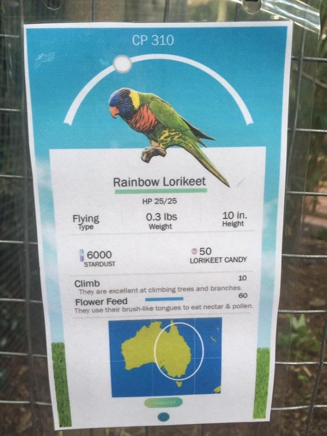 米バーミンガム動物園の動物の紹介