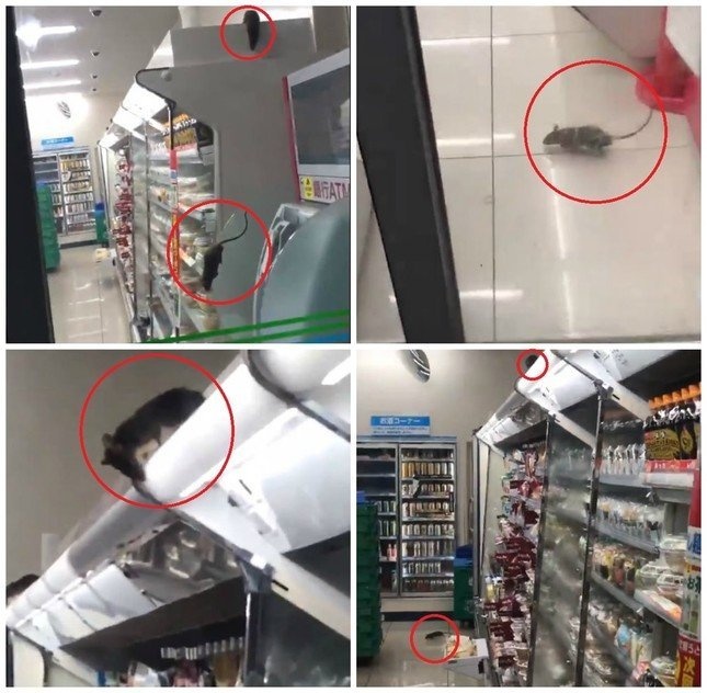 8月6日のJ-CASTニュース記事