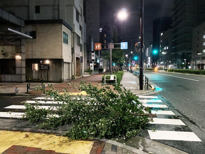tokyo-taifu2