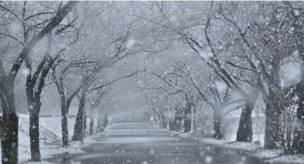 一般社団法人　五泉市観光協会のプレスリリース画像