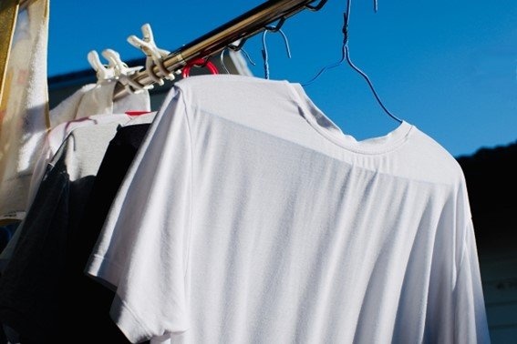 甘いにおいが...（画像はイメージ）