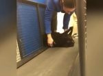 太ったニャンコにダイエットさせたいが、ゴロンと寝転び断固拒否！　しかしその後…