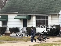 君は見たことがあるか？3羽の七面鳥に護衛される郵便配達員の姿を
