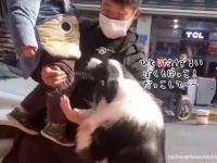 手は２つあるやろ！ワイも抱っこや。大きくなっても気持ちは子供の犬
