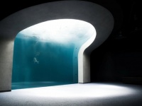 〝美しすぎる水族館〟に8.9万人うっとり　まるで美術館な空間で、魅せるは「四国の水中世界」