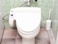 空から&#8221;汚物&#8221;が降っていた？　トイレにまつわる信じられない歴史とは？