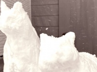 「そんなうまいこと溶ける？」　猫の雪だるま作った結果→絶妙すぎる〝なれ果て〟に5.7万人感激