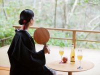 星野リゾートのプレスリリース画像