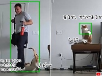 最強にいとおしい！飼い主が帰宅時の猫の様子を動体検知モニターで観察。待ち遠しくてニャンリネス
