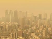 「Doctors Me（ドクターズミー）」コラム画像