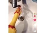 「グエェーーッ！」と鳴くおもちゃのチキン。水を飲ませながら鳴かせると…？