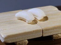 「イカ二貫」にしか見えないが...衝撃の正体　静岡の水族館で発見された〝新事実〟に「スゴい」「面白すぎる」の声