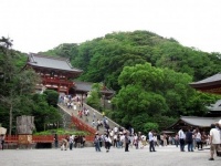 鶴岡八幡宮