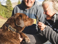ペットを5年以上飼っている65歳以上の人は認知機能が低下しにくいという研究結果