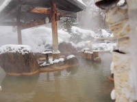 遊湯の露天（画像は豊平峡温泉公式サイトより）