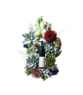 anynext株式会社のプレスリリース画像