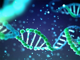不安を作り出す「不安遺伝子」を抑制する物質を特定。新たな治療法の道が開かれる