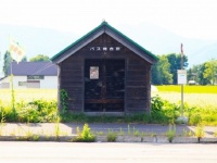 「旅行で訪れた、大分県の片田舎。バスが少なくて立ち往生する私に、地元のおばさんが...」（埼玉県・30代女性）