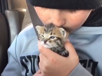 母親に捨てられ保護された子猫と少年の間に絆が生まれた瞬間（アメリカ）