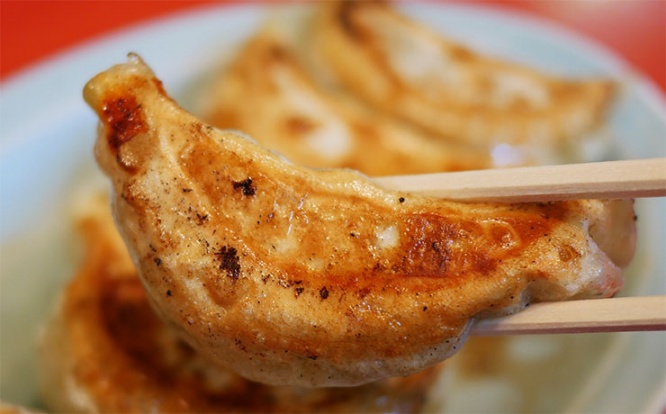 gyoza02