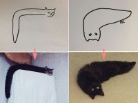 そんな猫がいるわけないって、本当にいるじゃん！超ミニマルに表現した猫イラストと実際の猫を比較。そっくりだった。