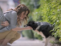 ハッピーエンドかもしれないがほんのり切ない。女性と犬が偶然出会うことから始まるホロリ系CM（ギリシャ）
