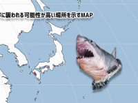 その場所は安全か？サメに襲われる可能性が高い場所がわかる世界地図