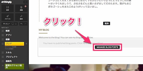 strikingly_blog_04
