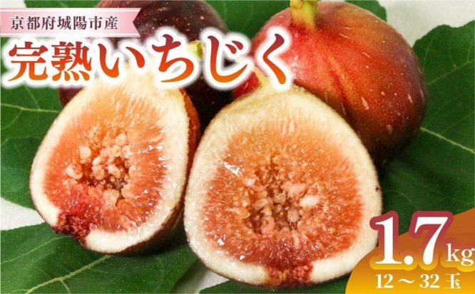 京都府「完熟いちじく 約1.7kg (12～32個目安) 5L～Mサイズ」10000円（ふるさとチョイスより）