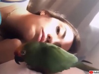 ある日突然家にやってきた美しい野生のインコと奇跡の交流を楽しんだ女性
