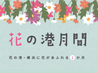 みなとみらいPRセンターのプレスリリース画像