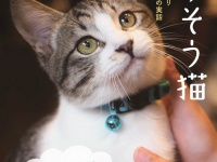 辰巳出版株式会社のプレスリリース画像