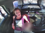 万引き犯の女、手錠を外してパトカーを乗っ取り逃走！⇒　カーチェイスを繰り広げる