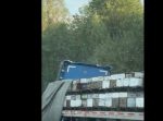 蜂の巣を運んでいたトレーラーが事故！　大量の蜂が現場で飛び回る…。