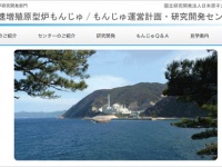 日本原子力研究開発機構「もんじゅ関連情報ページ」より