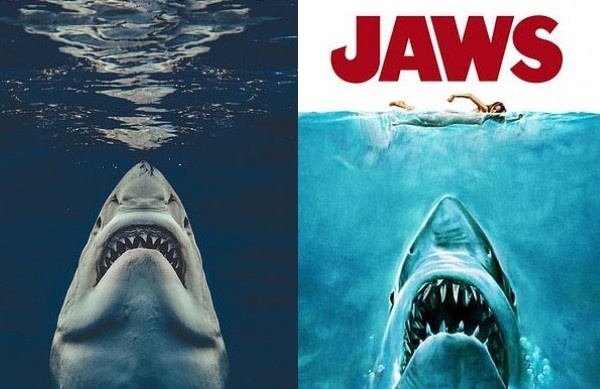 実際のサメがジョーズそっくりだった！ジョーズと同じ構図で撮影されたホホジロザメの写真