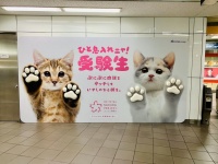 名鉄さくらプロジェクト公式ツイッターより