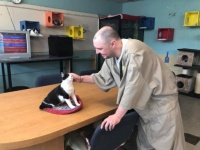 アメリカの刑務所、保護施設の猫を預かり受刑者らの更生に役立てるプログラムを導入