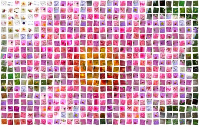 画像はイメージです