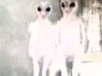 エイリアン発見！と話題になってしまった屋根裏にいたこの生き物の正体は？（インド）
