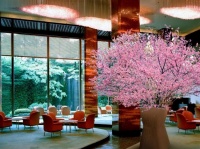 お花見にぴったりのメニュー