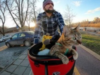 路上で偶然出会った野良猫と共に、自転車で世界を旅するサイクリスト