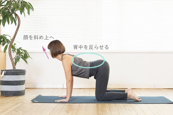 在宅ワークの疲れに。椅子に座ってできるヨガのポーズ