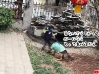 賢すぎワン！池から子供を遠ざけ、落としたボールを道具ですくい上げる犬